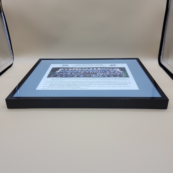 1995 Detroit Lions NFL Conference Playoffs Framed Team Photo 14.75" W X 12" L - Picture 11 of 12
